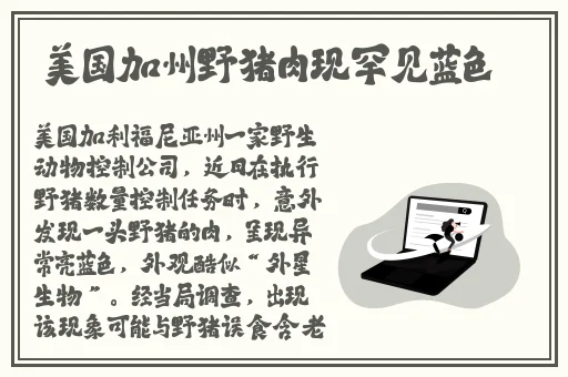 舞蹈里全是小馒头蘑菇视频